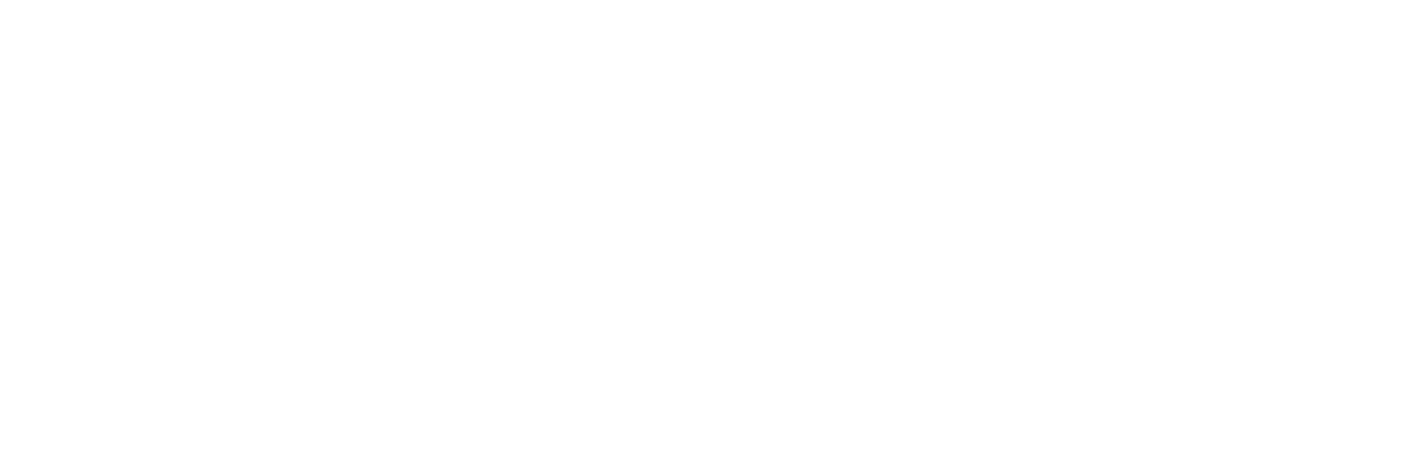 RIONEXT, tu negocio al siguiente nivel